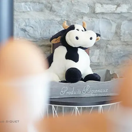 Familial Ferme Des Aujes Falaen Onhaye