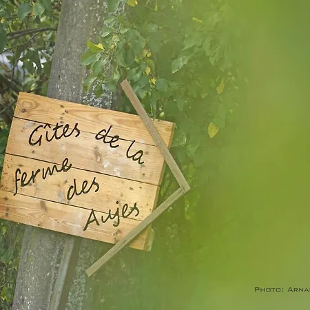 Lejlighed Familial Ferme Des Aujes Falaen