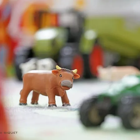 Familial Ferme Des Aujes Falaen 아파트