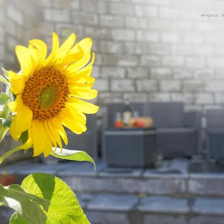 Familial Ferme Des Aujes Falaen