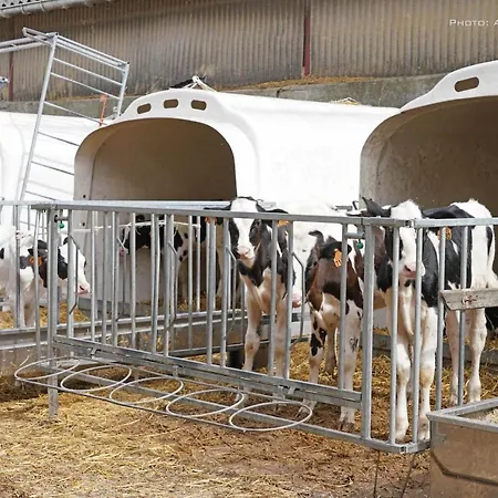 Familial Ferme Des Aujes Falaen Apartamento Onhaye