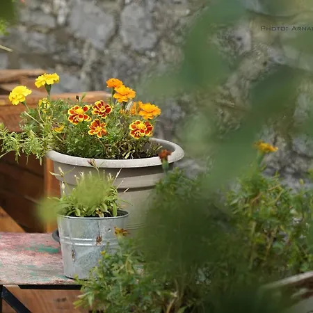 Familial Ferme Des Aujes Falaen Apartment