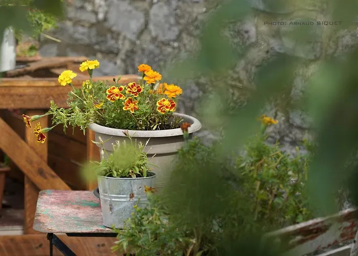 Familial Ferme Des Aujes Falaen Апартаменты